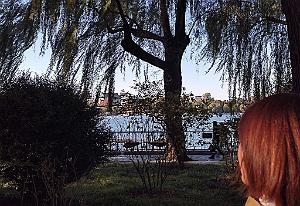 2023 11 PEKIN - PARC BEIHAI (19)